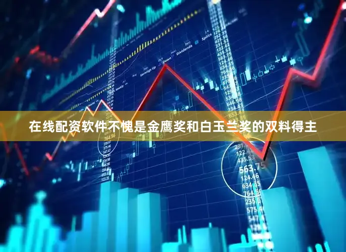 在线配资软件不愧是金鹰奖和白玉兰奖的双料得主