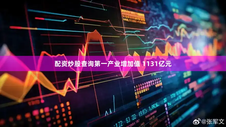 配资炒股查询第一产业增加值 1131亿元