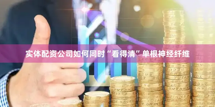 实体配资公司如何同时“看得清”单根神经纤维