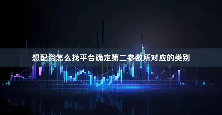 想配资怎么找平台确定第二参数所对应的类别
